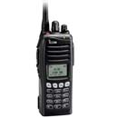 Icom IC-F3161DT